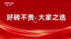 砖告白能登岸央视