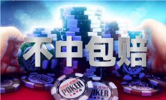 正在旅逛订单同比增速